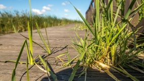 Jezioro Haleckie - zdjęcie 13