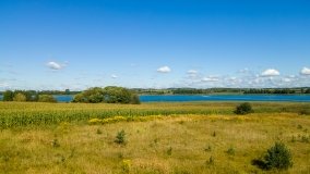 Jezioro Haleckie - zdjęcie 10