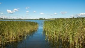 Jezioro Haleckie - zdjęcie 8