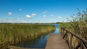 Jezioro Haleckie - zdjęcie 7