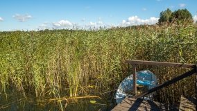 Jezioro Haleckie - zdjęcie 5