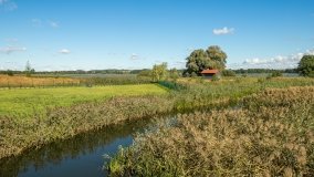 Jezioro Haleckie - zdjęcie 4