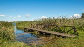 Jezioro Haleckie - zdjęcie 2