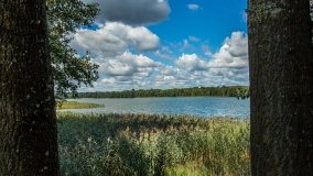 Jezioro Przytulskie - zdjęcie 11