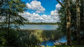 Jezioro Przytulskie - zdjęcie 9