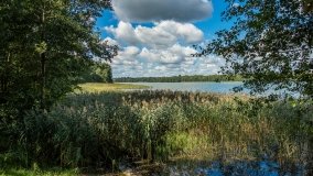 Jezioro Przytulskie - zdjęcie 7