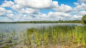 Jezioro Przytulskie - zdjęcie 3