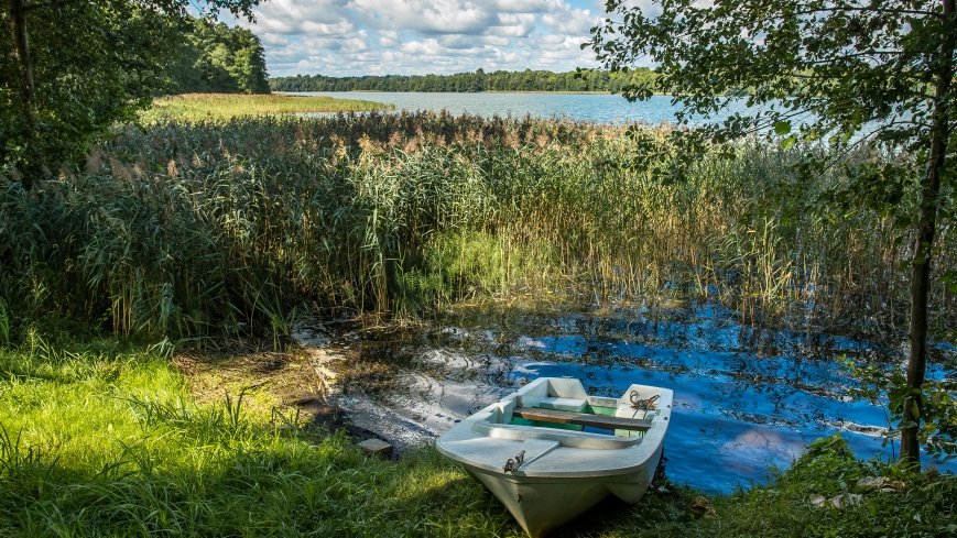 Jezioro Przytulskie - zdjęcie 1