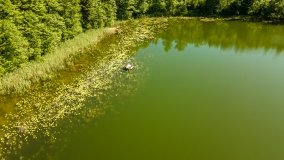 Jezioro Kuliste - zdjęcie 11