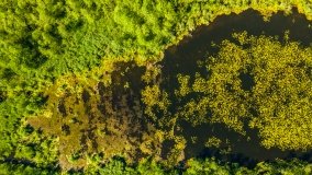 Jezioro Gordejskie - zdjęcie 2