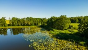  Jezioro Olszewskie - zdjęcie 13