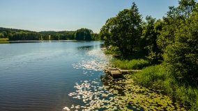  Jezioro Olszewskie - zdjęcie 3