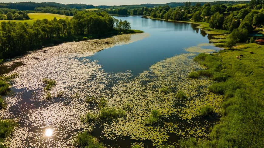  Jezioro Olszewskie - zdjęcie 1