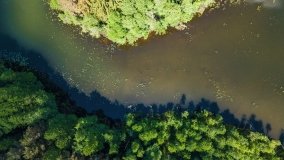 jezioro Stopka - zdjęcie 9