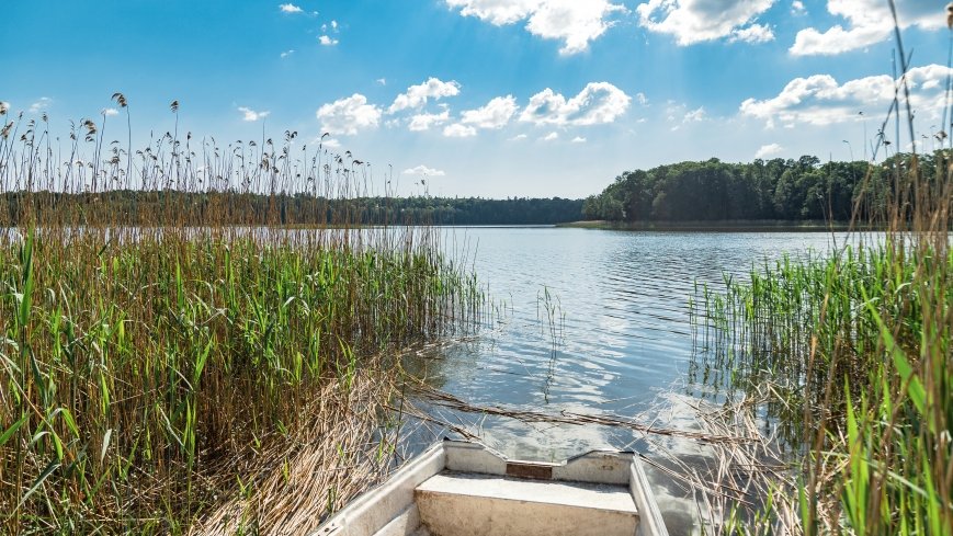jezioro Szwałk Wielki - zdjęcie 1