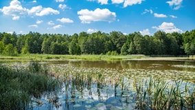 jezioro Piłwąg - zdjęcie 8