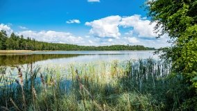 jezioro Piłwąg - zdjęcie 6