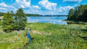 jezioro Piłwąg - zdjęcie 5