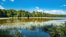 jezioro Piłwąg - zdjęcie 4