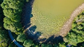 jezioro Szwałk Mały - zdjęcie 4