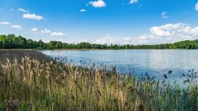 jezioro Szwałk Mały - zdjęcie 3