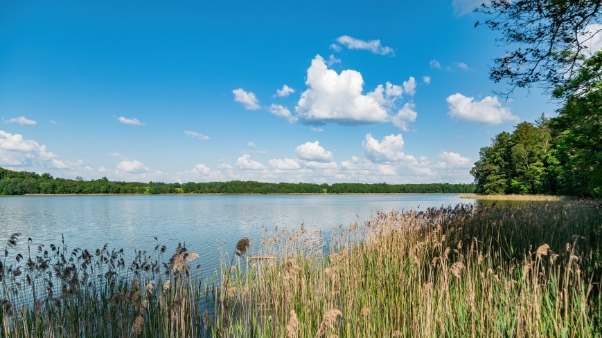 jezioro Szwałk Mały - zdjęcie 1