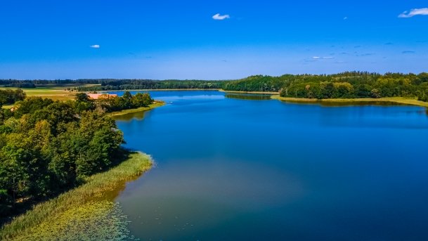 Łękuk - zdjęcie 11