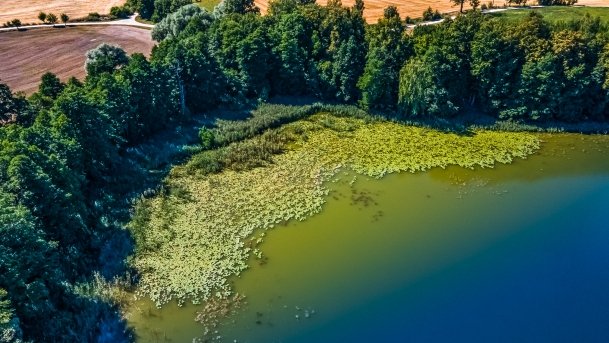 Łękuk - zdjęcie 3