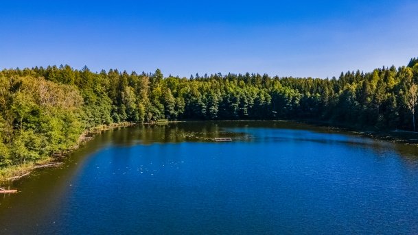 Dubinek - zdjęcie 8