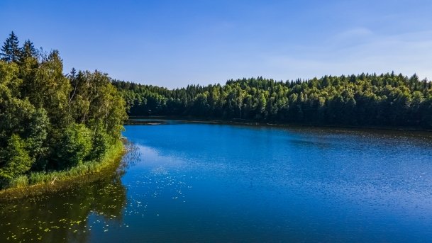 Dubinek - zdjęcie 7