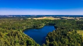 jezioro Dubinek - zdjęcie 6