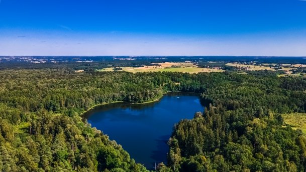 Dubinek - zdjęcie 6