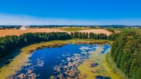 jezioro Róg - zdjęcie 14