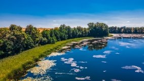 jezioro Róg - zdjęcie 11