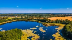 jezioro Róg - zdjęcie 10