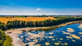 jezioro Róg - zdjęcie 9