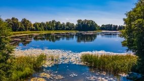 jezioro Róg - zdjęcie 6