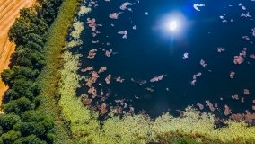 jezioro Róg - zdjęcie 2