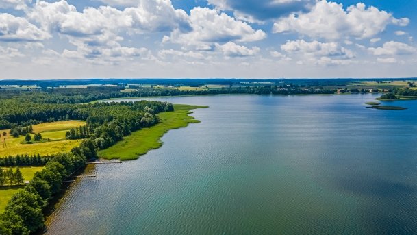 Gawlik - zdjęcie 15