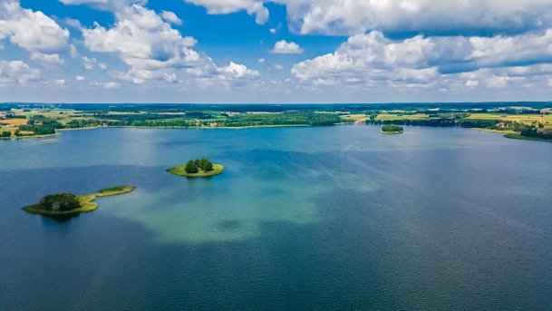 Gawlik - zdjęcie 12