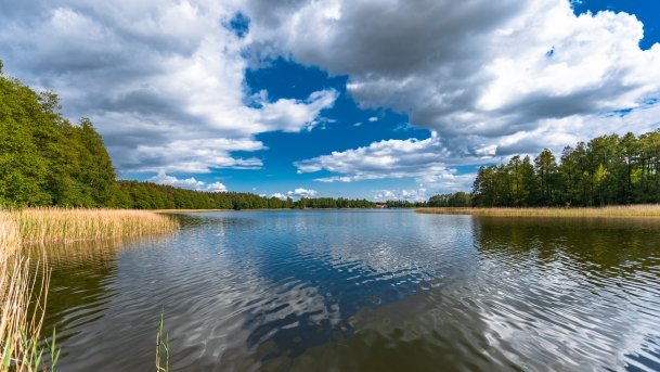 Wydmińskie - zdjęcie 20