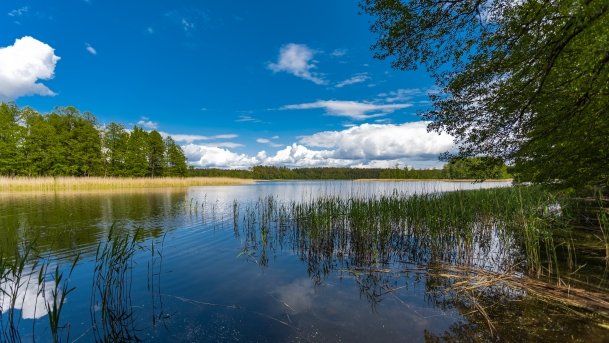 Wydmińskie - zdjęcie 16