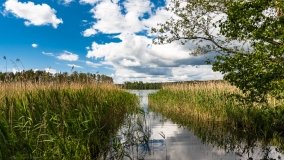 jezioro Wydmińskie - zdjęcie 10