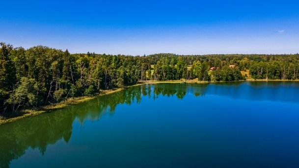 Wolisko - zdjęcie 18