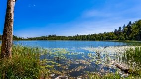 jezioro Wolisko - zdjęcie 16