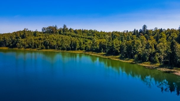 Wolisko - zdjęcie 15