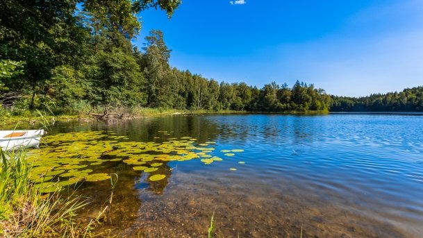 Wolisko - zdjęcie 14