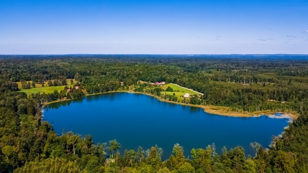 Wolisko - zdjęcie 10