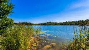 jezioro Wolisko - zdjęcie 9