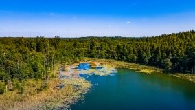 jezioro Wolisko - zdjęcie 8